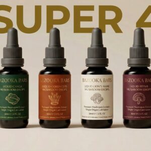 Super 4 – Lions Mane, Chaga, Reishi, Cordyceps Mushroom Tincture (4 x 60ml)